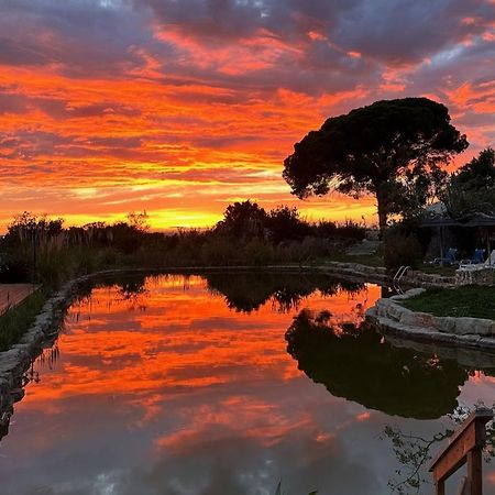Oasis Camp Portugal 호텔 라고아 외부 사진